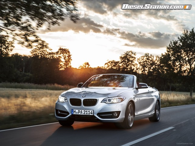 BMW 2 Series 228i Convertible 2015 Picture #14 BMW 2 Series 228i Convertible 2015 Picture #14