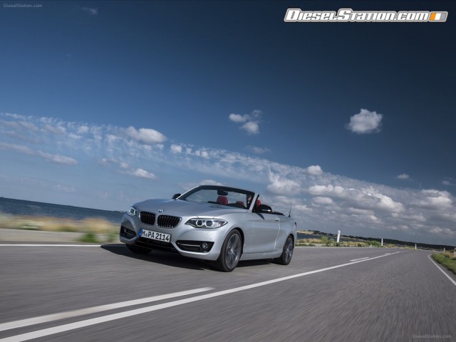 BMW 2 Series 228i Convertible 2015 Picture #12 BMW 2 Series 228i Convertible 2015 Picture #12
