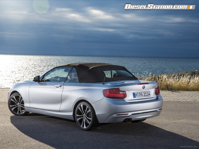 BMW 2 Series 228i Convertible 2015 Picture #27 BMW 2 Series 228i Convertible 2015 Picture #27