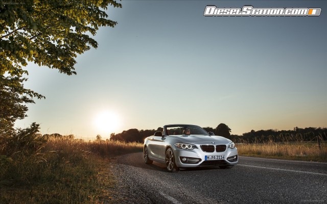 BMW 2 Series 228i Convertible 2015 Widescreen Picture #29 BMW 2 Series 228i Convertible 2015 Widescreen Picture #29
