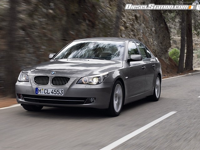 BMW 2009 5 Series Picture #13 BMW 2009 5 Series Picture #13