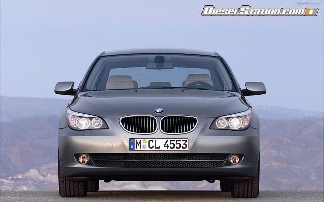 BMW 2009 5 Series Widescreen Picture #2 BMW 2009 5 Series Widescreen Picture #2