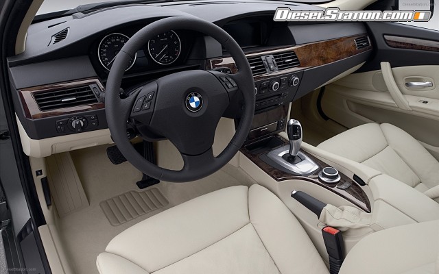 BMW 2009 5 Series Widescreen Picture #5 BMW 2009 5 Series Widescreen Picture #5