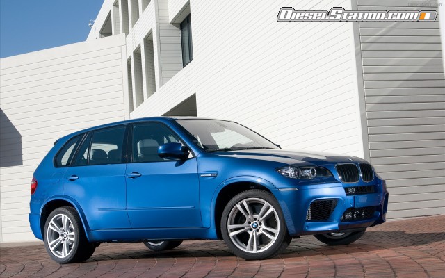 BMW 2010 X5 M Widescreen Picture #41 BMW 2010 X5 M Widescreen Picture #41