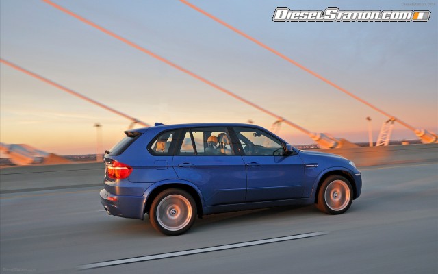 BMW 2010 X5 M Widescreen Picture #5 BMW 2010 X5 M Widescreen Picture #5