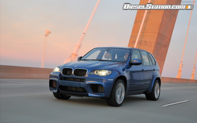 BMW 2010 X5 M Widescreen Picture #29 BMW 2010 X5 M Widescreen Picture #29