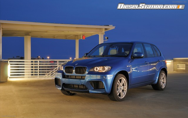 BMW 2010 X5 M Widescreen Picture #21 BMW 2010 X5 M Widescreen Picture #21