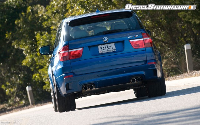 BMW 2010 X5 M Widescreen Picture #18 BMW 2010 X5 M Widescreen Picture #18