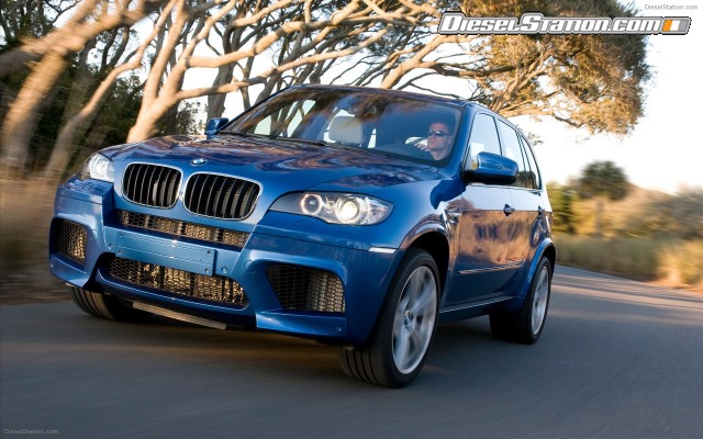 BMW 2010 X5 M Widescreen Picture #19 BMW 2010 X5 M Widescreen Picture #19