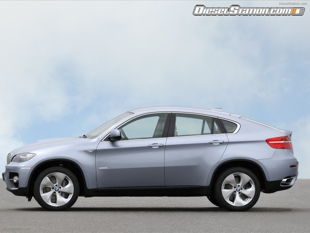 BMW 2010 X6 ActiveHybrid Picture #50 BMW 2010 X6 ActiveHybrid Picture #50
