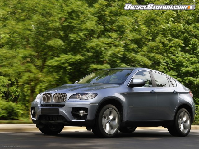 BMW 2010 X6 ActiveHybrid Picture #13 BMW 2010 X6 ActiveHybrid Picture #13