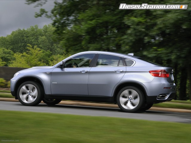 BMW 2010 X6 ActiveHybrid Picture #37 BMW 2010 X6 ActiveHybrid Picture #37
