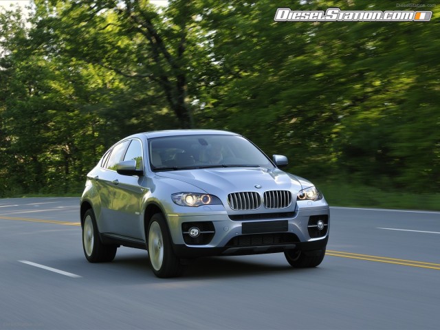 BMW 2010 X6 ActiveHybrid Picture #2 BMW 2010 X6 ActiveHybrid Picture #2