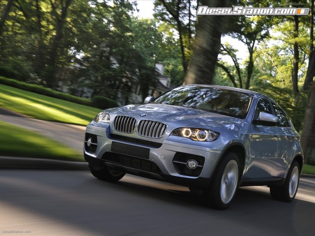BMW 2010 X6 ActiveHybrid Picture #70 BMW 2010 X6 ActiveHybrid Picture #70