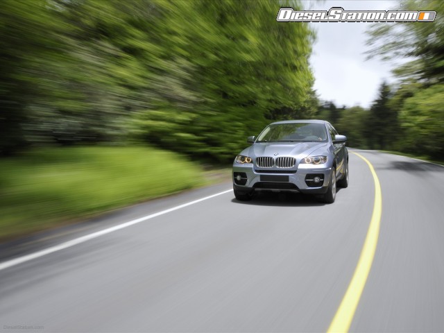 BMW 2010 X6 ActiveHybrid Picture #25 BMW 2010 X6 ActiveHybrid Picture #25