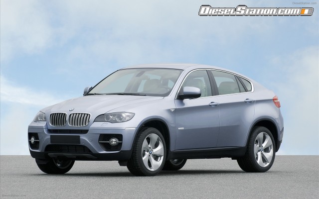 BMW 2010 X6 ActiveHybrid Widescreen Picture #22 BMW 2010 X6 ActiveHybrid Widescreen Picture #22