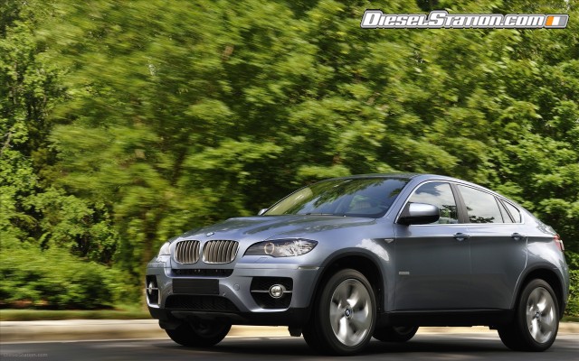 BMW 2010 X6 ActiveHybrid Widescreen Picture #14 BMW 2010 X6 ActiveHybrid Widescreen Picture #14