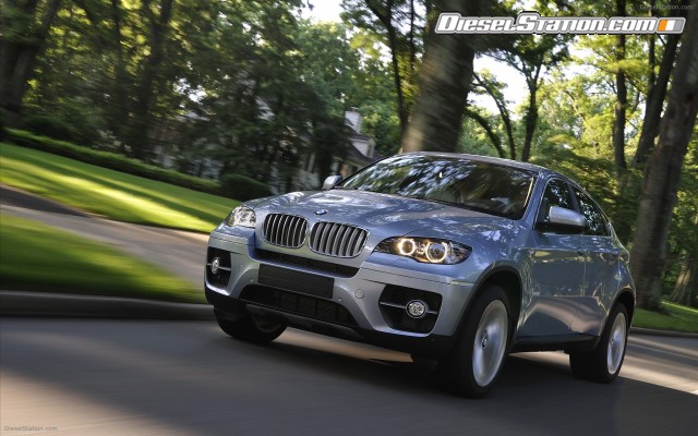 BMW 2010 X6 ActiveHybrid Widescreen Picture #23 BMW 2010 X6 ActiveHybrid Widescreen Picture #23