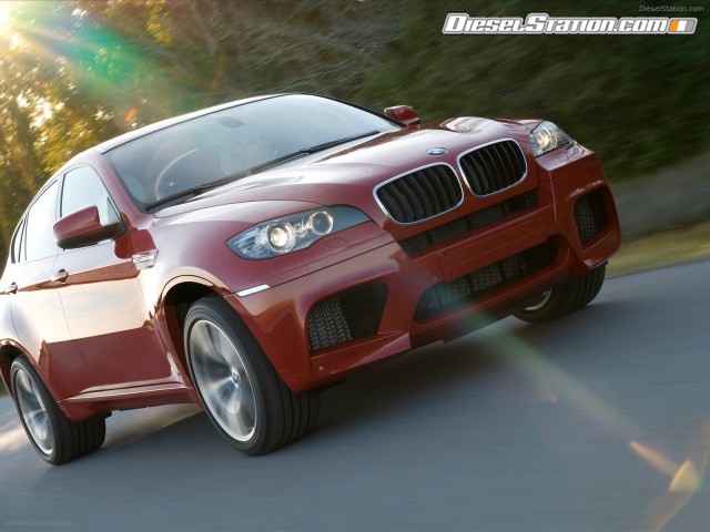 BMW 2010 X6 M Picture #17 BMW 2010 X6 M Picture #17