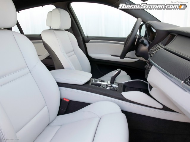 BMW 2010 X6 M Picture #28 BMW 2010 X6 M Picture #28