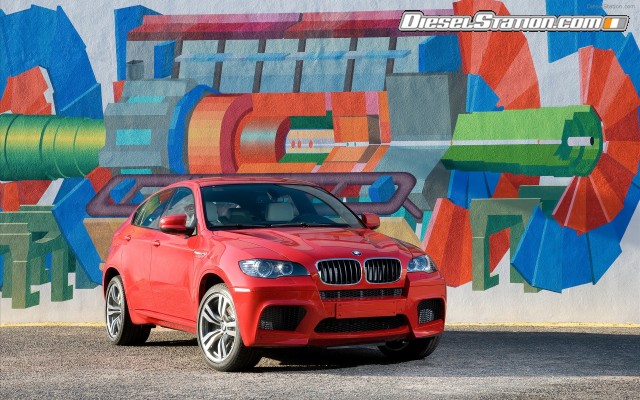 BMW 2010 X6 M Widescreen Picture #18 BMW 2010 X6 M Widescreen Picture #18