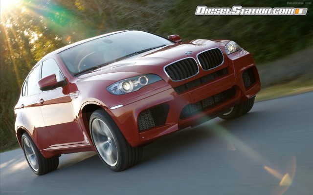 BMW 2010 X6 M Widescreen Picture #46 BMW 2010 X6 M Widescreen Picture #46