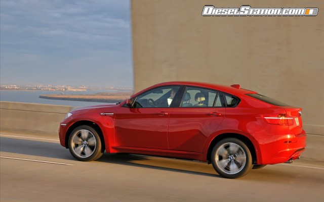 BMW 2010 X6 M Widescreen Picture #29 BMW 2010 X6 M Widescreen Picture #29