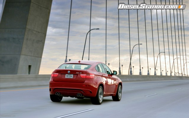 BMW 2010 X6 M Widescreen Picture #36 BMW 2010 X6 M Widescreen Picture #36