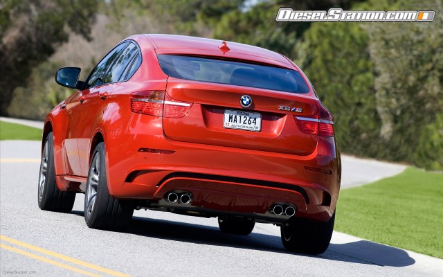 BMW 2010 X6 M Widescreen Picture #48 BMW 2010 X6 M Widescreen Picture #48