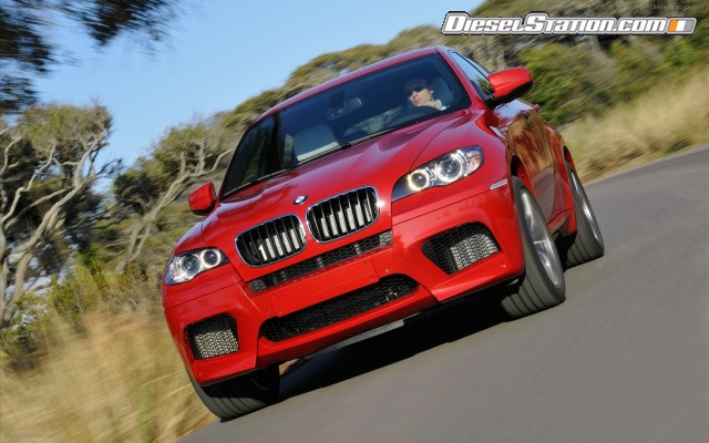BMW 2010 X6 M Widescreen Picture #44 BMW 2010 X6 M Widescreen Picture #44