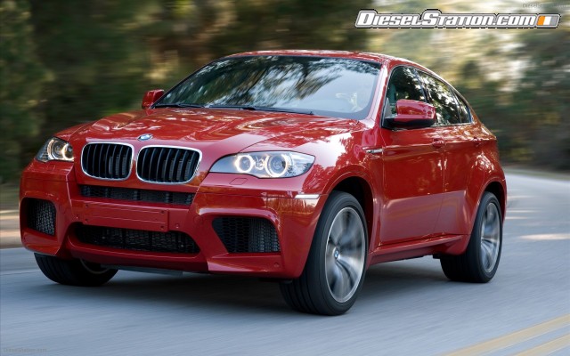 BMW 2010 X6 M Widescreen Picture #14 BMW 2010 X6 M Widescreen Picture #14