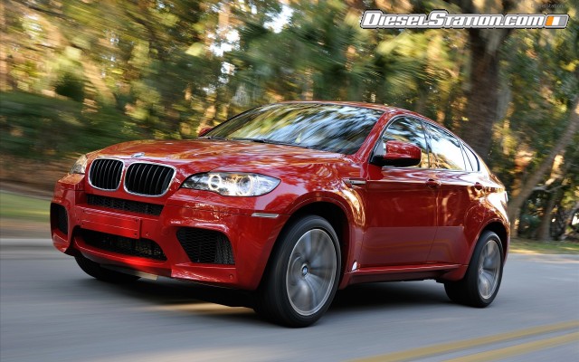 BMW 2010 X6 M Widescreen Picture #40 BMW 2010 X6 M Widescreen Picture #40