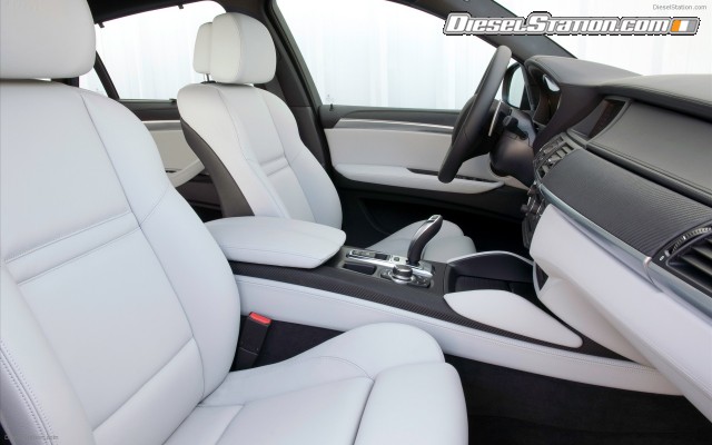 BMW 2010 X6 M Widescreen Picture #31 BMW 2010 X6 M Widescreen Picture #31