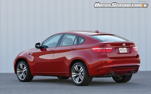 BMW 2010 X6 M Widescreen Picture #45 BMW 2010 X6 M Widescreen Picture #45