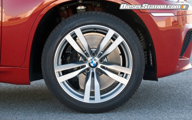 BMW 2010 X6 M Widescreen Picture #5 BMW 2010 X6 M Widescreen Picture #5
