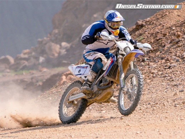 BMW G450 X Picture #12 BMW G450 X Picture #12