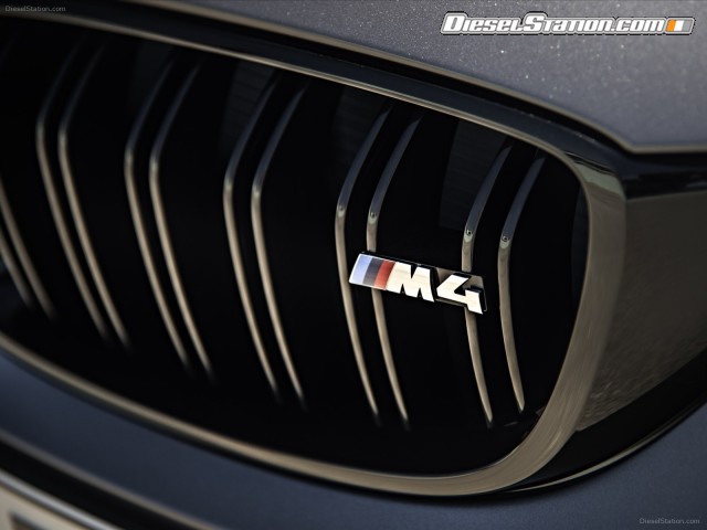 BMW M4 GTS 2016 Picture #29 BMW M4 GTS 2016 Picture #29