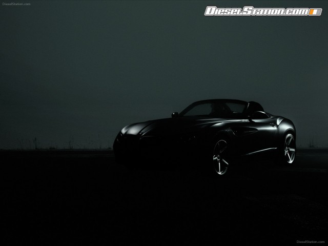 BMW Zagato Roadster 2013 Picture #33 BMW Zagato Roadster 2013 Picture #33