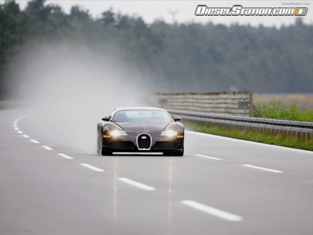 Bugatti Veyron 2005 Picture #13 Bugatti Veyron 2005 Picture #13