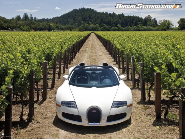 Bugatti Veyron Grand Sport Production Picture #15 Bugatti Veyron Grand Sport Production Picture #15