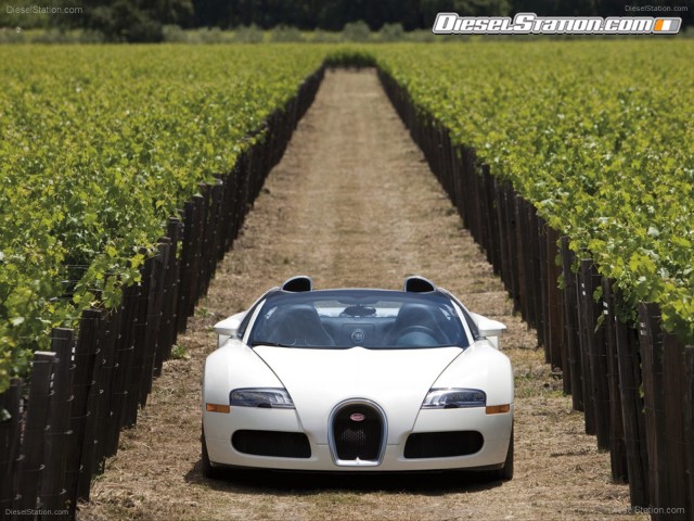 Bugatti Veyron Grand Sport Production Picture #7 Bugatti Veyron Grand Sport Production Picture #7