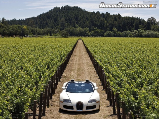Bugatti Veyron Grand Sport Production Picture #5 Bugatti Veyron Grand Sport Production Picture #5