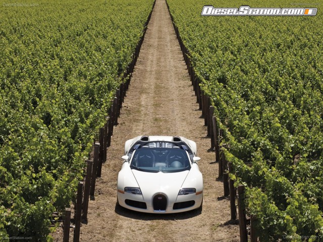 Bugatti Veyron Grand Sport Production Picture #18 Bugatti Veyron Grand Sport Production Picture #18