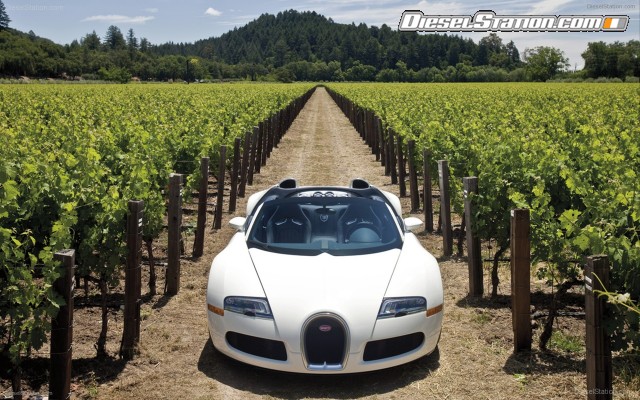 Bugatti Veyron Grand Sport Production Widescreen Picture #23 Bugatti Veyron Grand Sport Production Widescreen Picture #23