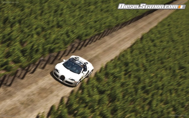 Bugatti Veyron Grand Sport Production Widescreen Picture #17 Bugatti Veyron Grand Sport Production Widescreen Picture #17