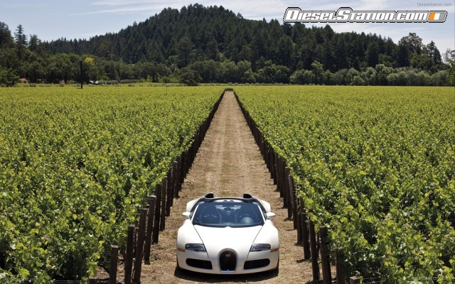 Bugatti Veyron Grand Sport Production Widescreen Picture #10 Bugatti Veyron Grand Sport Production Widescreen Picture #10