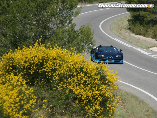 Bugatti Veyron Grand Sport Vitesse Picture #31 Bugatti Veyron Grand Sport Vitesse Picture #31