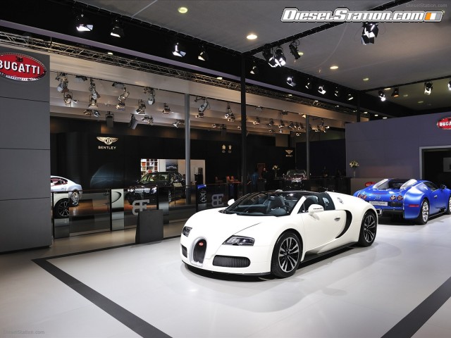 Bugatti Veyron Grant Sport 2010 Picture #37 Bugatti Veyron Grant Sport 2010 Picture #37