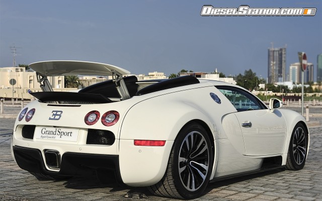 Bugatti Veyron Grant Sport 2010 Widescreen Picture #16 Bugatti Veyron Grant Sport 2010 Widescreen Picture #16