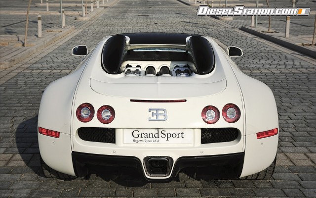 Bugatti Veyron Grant Sport 2010 Widescreen Picture #20 Bugatti Veyron Grant Sport 2010 Widescreen Picture #20